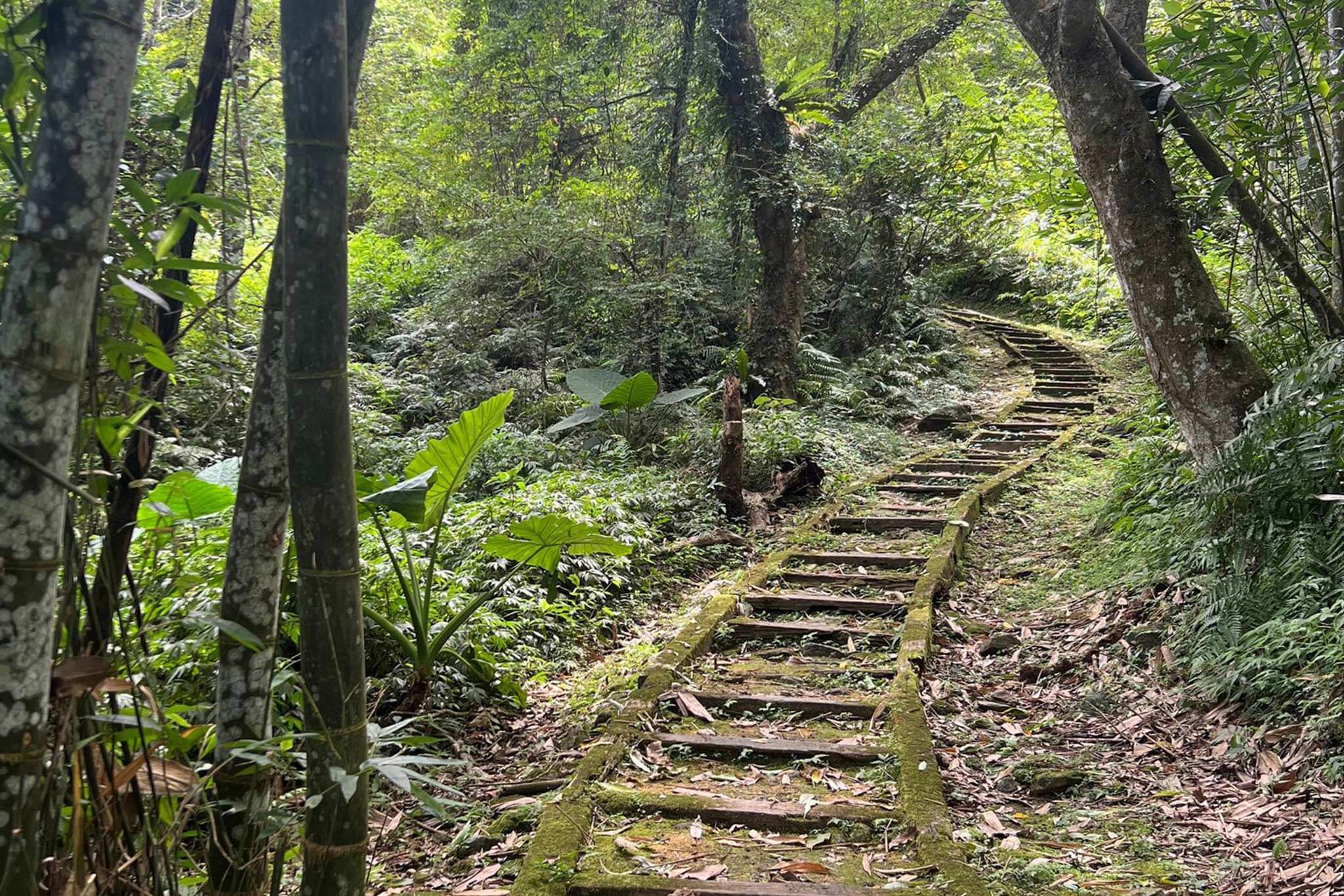 Paddle-and-hike-in-Liyu-mountain-and-lake-4